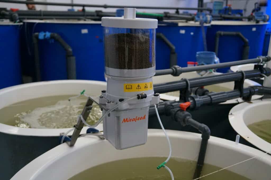 Automatic Feeders for Fish Farmers