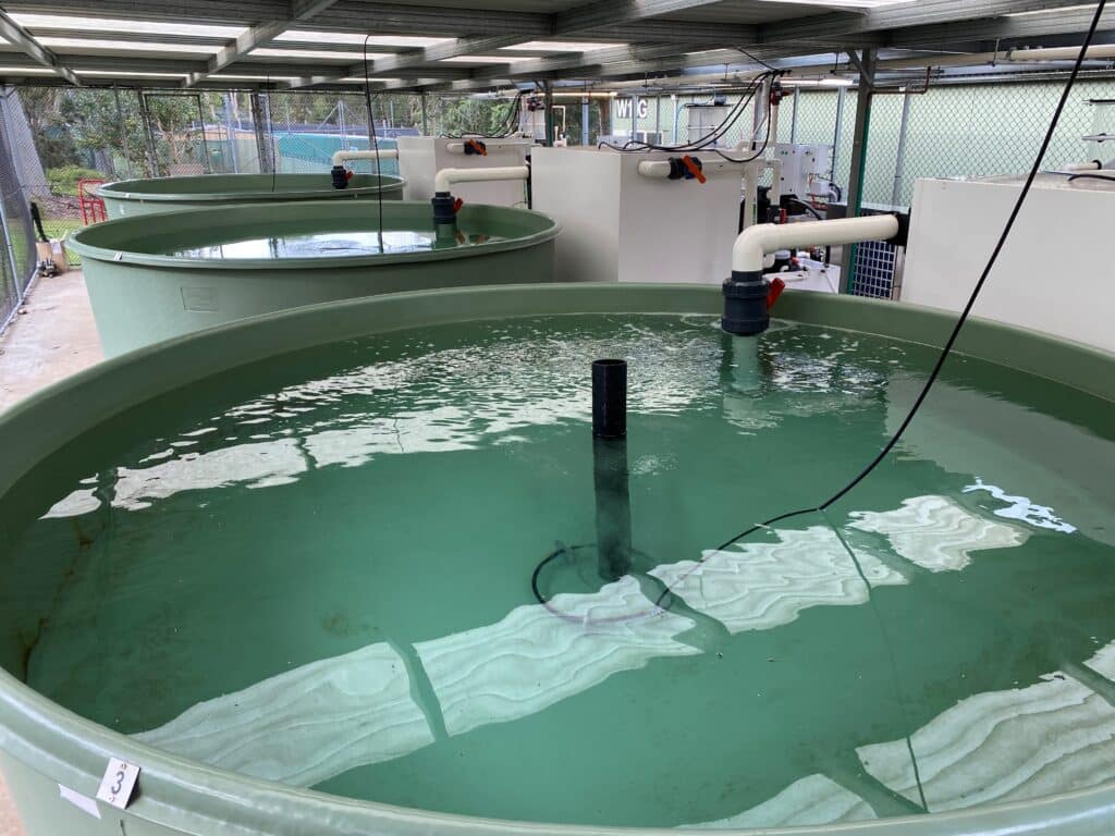 RAS Components – Recirculating Aquaculture System Equipment
