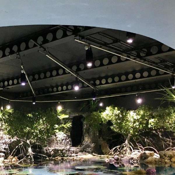 Cannon Bio Cool White | Aquarium LED Lighting System - Image 4