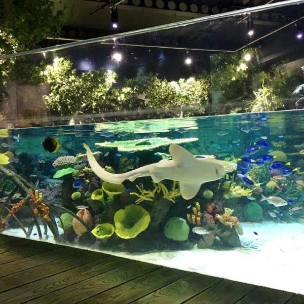 Cannon Bio Cool White | Aquarium LED Lighting System - Image 3