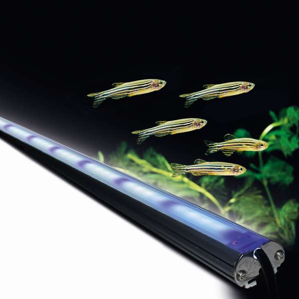 ZebLED 1140mm | Aquarium LED Lighting System - Image 5