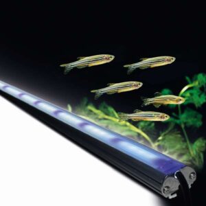 ZebLED 700mm | Aquarium LED Lighting System