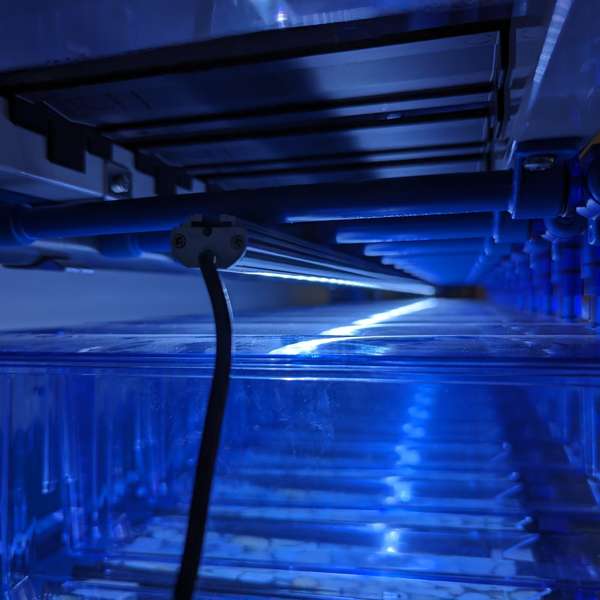 ZebLED 1140mm | Aquarium LED Lighting System - Image 3
