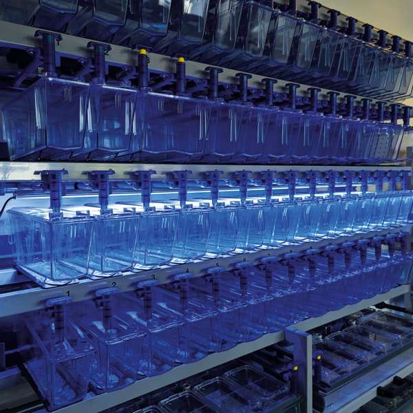 ZebLED 700mm | Aquarium LED Lighting System - Image 2