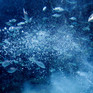 Oxygenation & Aeration