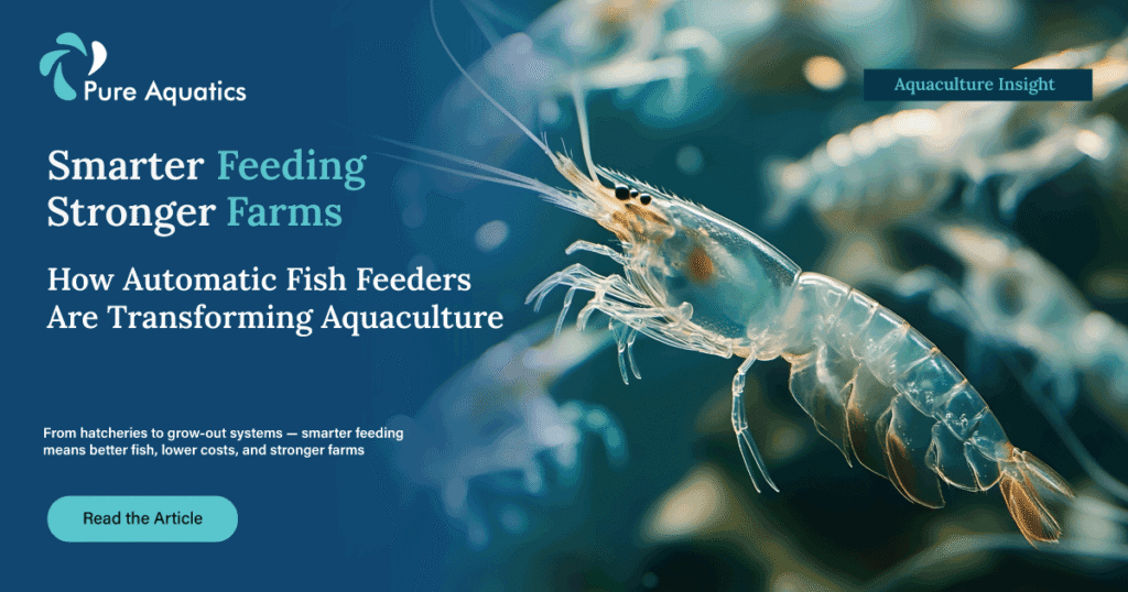 Smarter Feeding, Stronger Farms: How Automatic Fish Feeders Are Transforming Aquaculture