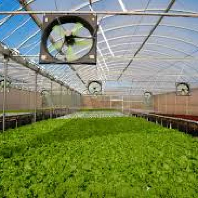 aquaponics