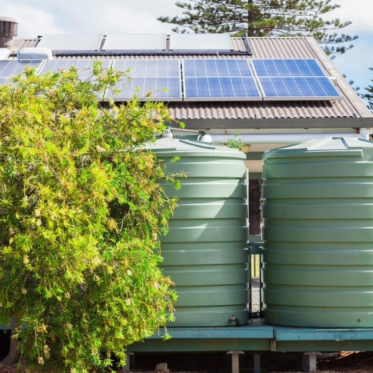 Water Tanks with tree — Pure Aquatics in Waychioe, NSW