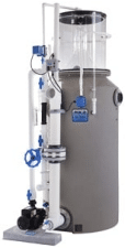 Salt Water Tank — Pure Aquatics in Waychioe, NSW